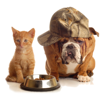 dog-cat-food-online